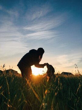 Side view silhouette of a teenage girl standing in a field at sunset giving her dog a treat, Gilroy, Santa Clara County, California, USA