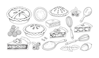 Hand drawn assortment of pies berries and baking utensils berry raspberry blueberry © Mehedy