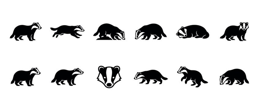 Eleven black and white badger icons in various poses, depicted in a clean, minimalist graphic vector style with strong visual contrast and sharp details