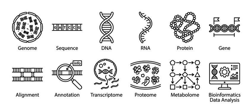 Twelve black outline scientific icons illustrating molecular biology concepts, including DNA, RNA, proteins, genes, and bioinformatics data analysis, presented in a clear, informative style