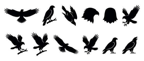 Obraz premium Collection of black eagle bird silhouettes in various dynamic poses, including flying, perched, diving, and head profiles, presented in a graphic vector style
