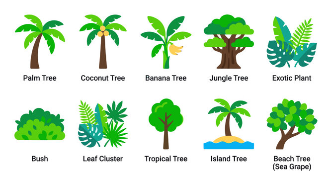 A flat design illustration showcases a variety of tropical plants and trees including palm, coconut, banana, jungle, and beach trees, with a clean white background.