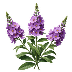 Fototapeta premium A vibrant cluster of purple flowers with green leaves on a white background