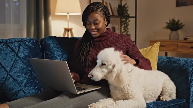 Smiling young african american woman working on laptop and petting a white poodle on a blue sofa in a cozy room. Concept of remote work and pet companionship