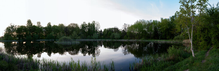 Obraz premium Panoramic view of a lake with lush coastal vegetation on a sunny summer day.