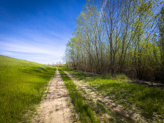 Fototapeta premium Sunny Dirt Road on a Grassy West Sacramento Levee