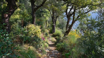 Hills and shrubs by the path, seen hazily.