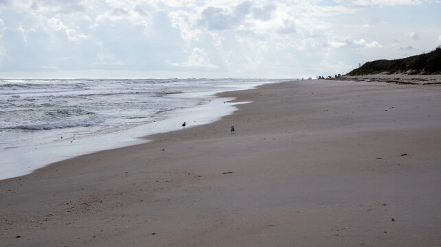 Serene Unspoiled Coastline at Playalinda Beach, Florida