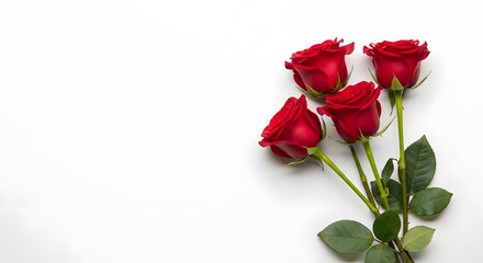 Fototapeta premium Four beautiful red roses with green stems and leaves on a clean white background, perfect for romantic gestures or special occasions.
