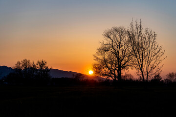 Fototapeta premium Silhouette of two large trees and a landscape against a golden sunset over Lauteracher Ried, Vorarlberg, Austria