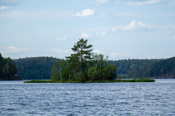 Fototapeta premium Small solitary island with a tall pine tree surrounded by the blue waters of Lake Ladoga. Distant dense forest shores viewed from a boat in summer.