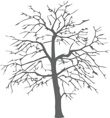Obraz premium Detailed Silhouette of a Bare, Gnarled Tree with Intricate Branching Against a White Background