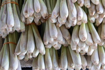 Cymbopogon, also known as lemongrass sold on the local market in Kuching, Malaysia.