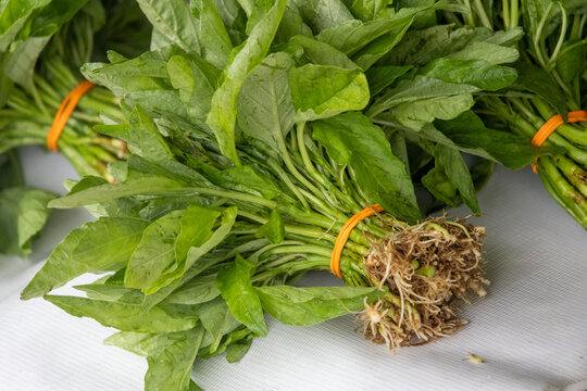 Bayam, or Chinese Spinach sold on market in Kuching, Malaysia.