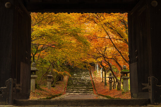 秋月城跡」の写真素材 | 252件の無料イラスト画像 | Adobe Stock