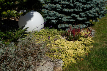 Domowy ogród  © dariog1973