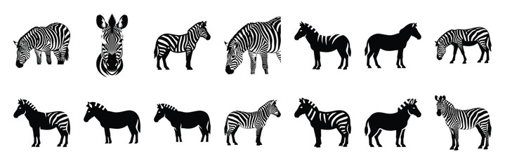 zebra silhouette vector icon set collection and isolated on transparent background. © Bemol