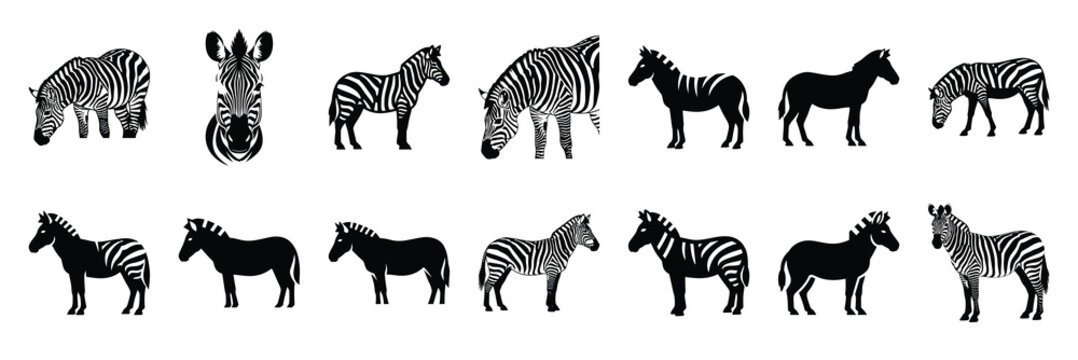zebra silhouette vector icon set collection and isolated on transparent background.