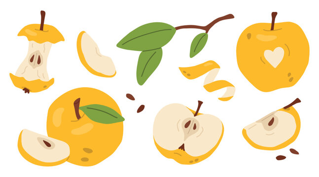 Flat vector yellow apple set with whole, sliced, half and core pieces, peel and leaves. Cuteruit collection isolated on light background. Fresh food illustration in soft style.