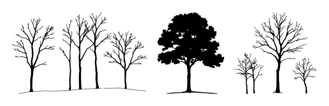 Tree silhouettes set with dark stylized outlines featuring forest, nature, foliage with line art and minimalist and abstract