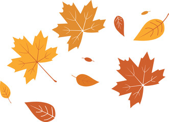 Naklejka premium Autumn leaves falling on white background leaf maple leaf