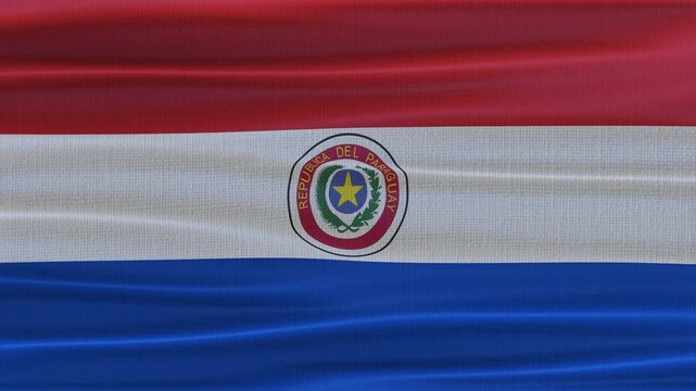 Paraguay flag waving in the wind with high quality fabric texture