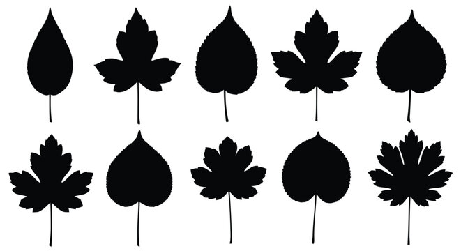 Various stylized black silhouettes of maple leaves arranged in a grid pattern
