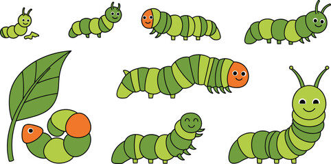 Fototapeta premium Cute Green Caterpillar Character Collection Vector Illustration with Smiling Worm Insect Poses on Leaf for Kids Nature Education and Garden Theme Designs