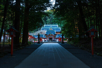 Fototapeta premium 日本の風景・秋 鹿児島 紅葉の霧島神宮