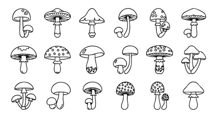 Mushroom Collection. Fungi Line Art Set. Doodle Outline Sketch. Hand Drawn Icons. © khafid