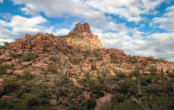 Hikers On Pinnacle Peak Trail At Spring Time In North Scottsdale AZ