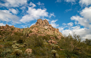Naklejka premium Pinnacle Peak Spring During Time In Scottsdale Arizona