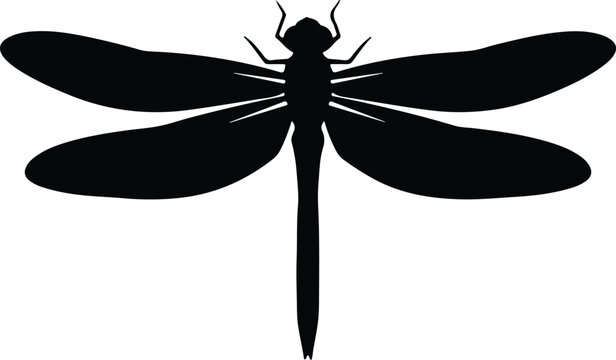 Silhouette of a graceful dragonfly insect isolated on white background vector design