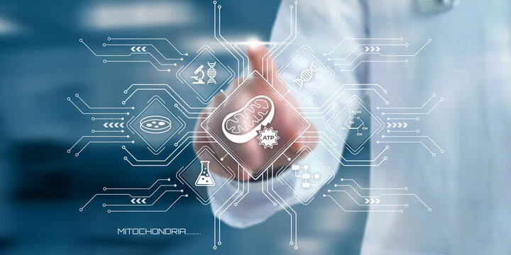 Scientist touching a futuristic digital interface displaying scientific icons related to mitochondria and cellular energy production in a lab setting