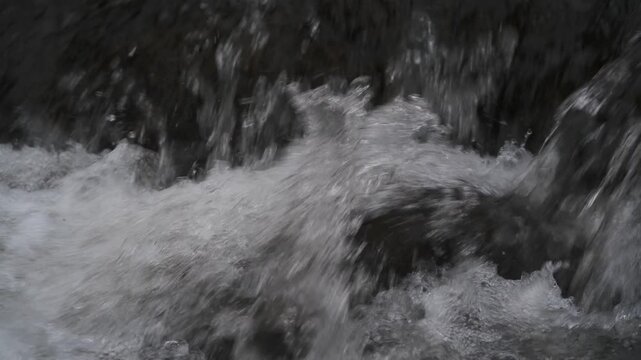 冬枯れの森と笹のの中を流れる渓流風景
