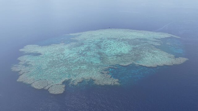 Seen from a bird's eye view, an impressive platform reef, named "E6," sits in the midst of the Bligh Channel east of Viti Levu, Fiji. The reef is home to extensive coral growth and fish diversity.