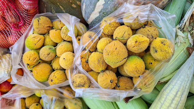Tropical Garcinia madruno (Arbutus) fruits in plastic bags at a traditional market, highlighting their rough yellow skin and unique texture.