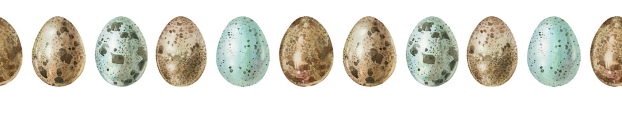 Watercolor seamless rim with Easter blue and brown eggs on white background. Celebration food for spring menu. Border with new life of bird jay. Hand-drawn border for cookbook wallpaper or wrapping