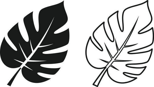 Monstera Leaf Silhouette and Outline Icon Set Vector