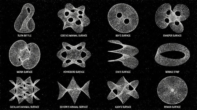 Collection of abstract wireframe mathematical surfaces including klein bottle mobius strip and other complex geometric forms presented