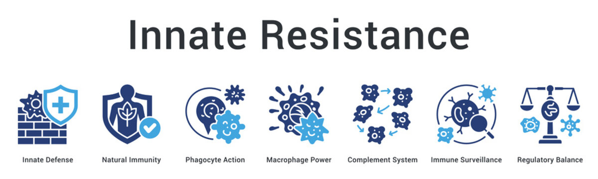 Innate resistance banner web icon provides immediate natural defense through phagocytes and surveillance mechanisms balancing responses.