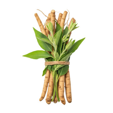 gnarled light brown ashwagandha roots and fresh green leaves, detailed macro flat lay, perfectly isolated on a solid white studio background, natural wellness and herbal medicine concept