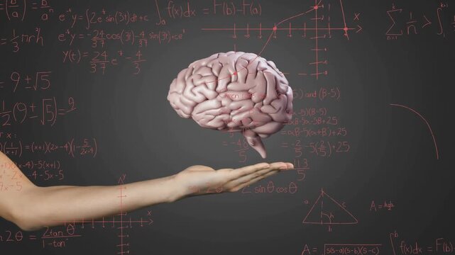 Vertical video: Arm entering, 3D brain rising above palm, rotating and bobbing, showing math idea