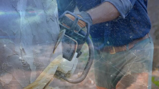 Adult man placing chainsaw bar against bark, cutting trunk for tree work, scratched film streaking