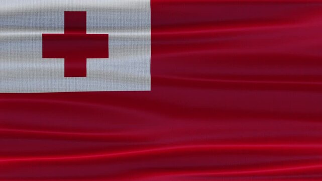 Tonga flag waving in the wind with high quality fabric texture