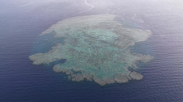 Seen from a bird's eye view, an impressive platform reef, named "E6," sits in the midst of the Bligh Channel east of Viti Levu, Fiji. The reef is home to extensive coral growth and fish diversity.