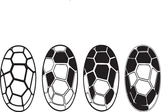Turtle shell patterns and shapes