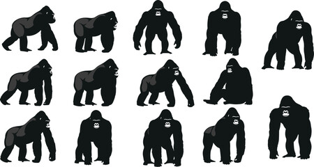 Gorilla silhouette vector set, silverback primate collection in different poses, wild monkey animal icons for nature and wilderness design, apes. © Niheranjan