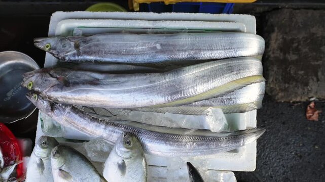 Silver Fish On Ice Showcase. Brightly Gleaming Silver Cutlassfish Stacked At Street Market Stall. Reflective Silver Cutlassfish Resting On Ice Inside Foam Boxes At Local Marketplace