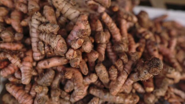 Fresh Turmeric At Street Stall. Closeup Of Turmeric And Spice Display. Vivid Image Of Turmeric Rhizomes At Local Market. Heap Of Raw Turmeric Rhizomes With Earthy Skin In Vibrant Market Setting